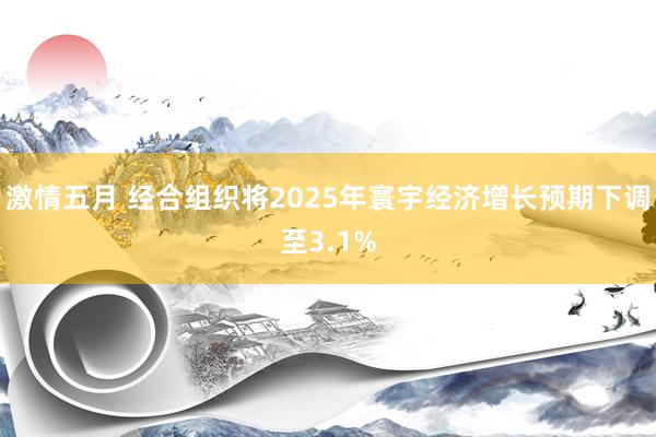 激情五月 经合组织将2025年寰宇经济增长预期下调至3.1%
