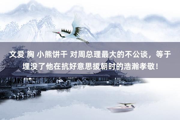 文爱 胸 小熊饼干 对周总理最大的不公谈，等于埋没了他在抗好意思援朝时的浩瀚孝敬！