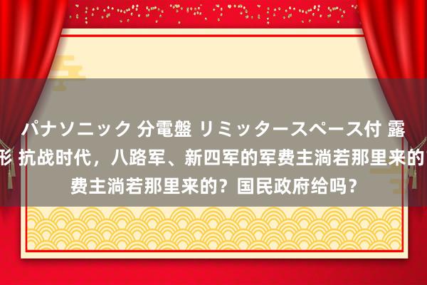 パナソニック 分電盤 リミッタースペース付 露出・半埋込両用形 抗战时代，八路军、新四军的军费主淌若那里来的？国民政府给吗？