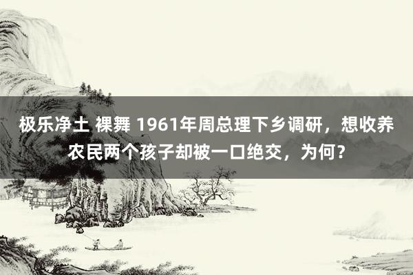 极乐净土 裸舞 1961年周总理下乡调研，想收养农民两个孩子却被一口绝交，为何？