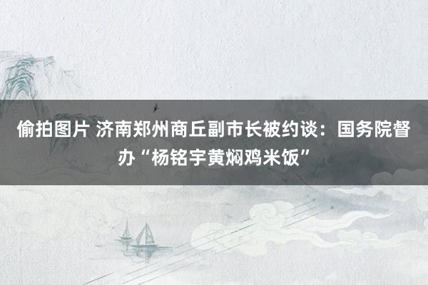 偷拍图片 济南郑州商丘副市长被约谈：国务院督办“杨铭宇黄焖鸡米饭”