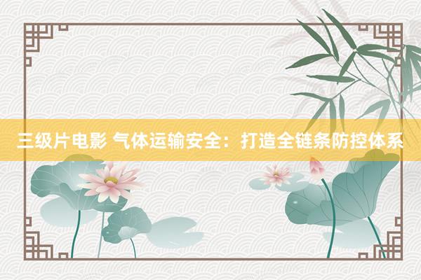 三级片电影 气体运输安全：打造全链条防控体系