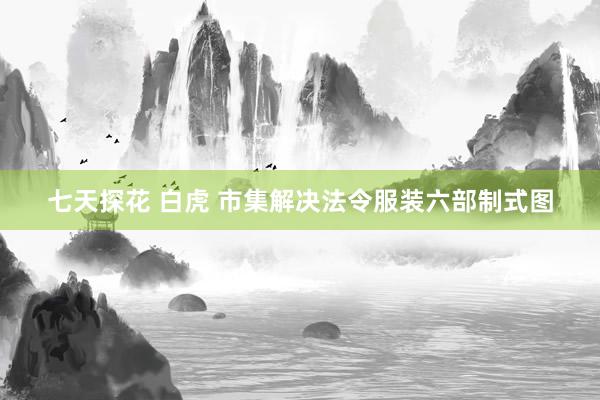 七天探花 白虎 市集解决法令服装六部制式图