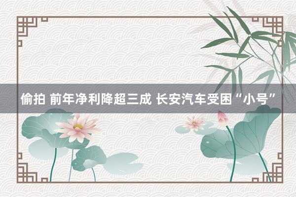 偷拍 前年净利降超三成 长安汽车受困“小号”