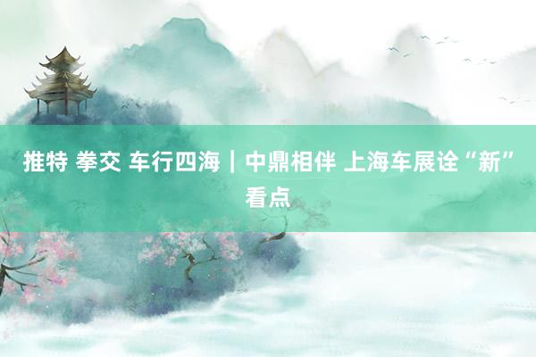 推特 拳交 车行四海｜中鼎相伴 上海车展诠“新”看点