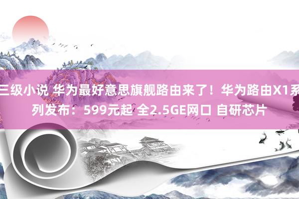 三级小说 华为最好意思旗舰路由来了!华为路由X1系列发布:599元起 全2.5GE网口 自研芯片