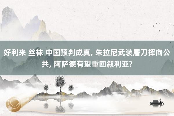 好利来 丝袜 中国预判成真, 朱拉尼武装屠刀挥向公共, 阿萨德有望重回叙利亚?