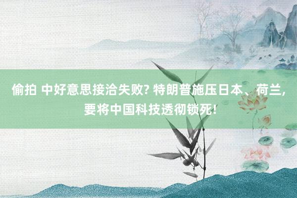 偷拍 中好意思接洽失败? 特朗普施压日本、荷兰, 要将中国科技透彻锁死!