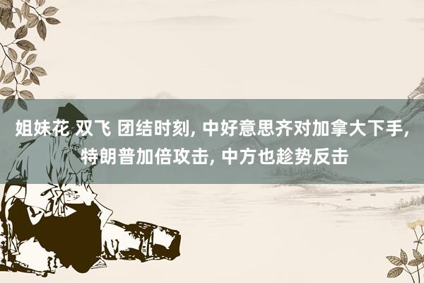 姐妹花 双飞 团结时刻, 中好意思齐对加拿大下手, 特朗普加倍攻击, 中方也趁势反击