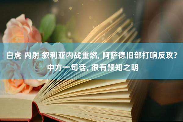 白虎 内射 叙利亚内战重燃, 阿萨德旧部打响反攻? 中方一句话, 很有预知之明