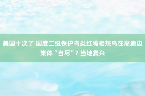 美国十次了 国度二级保护鸟类红嘴相想鸟在高速边集体“自尽”? 当地复兴