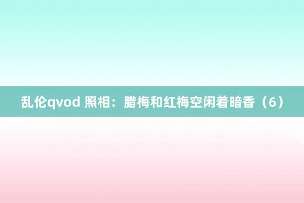 乱伦qvod 照相：腊梅和红梅空闲着暗香（6）