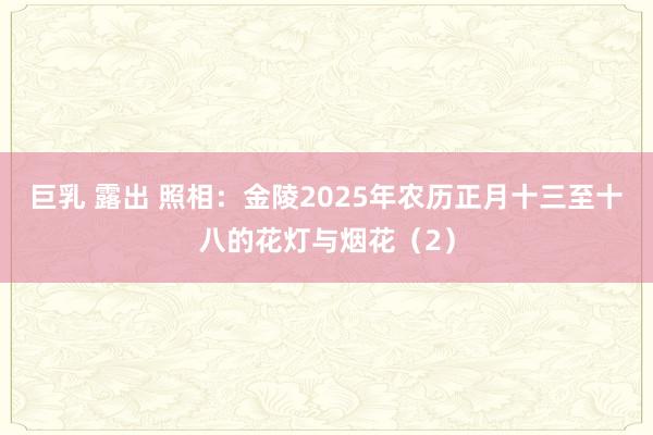 巨乳 露出 照相：金陵2025年农历正月十三至十八的花灯与烟花（2）
