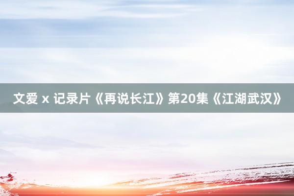 文爱 x 记录片《再说长江》第20集《江湖武汉》
