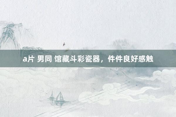 a片 男同 馆藏斗彩瓷器，件件良好感触