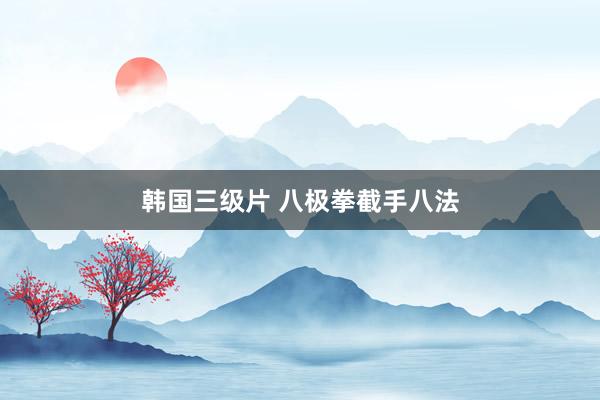 韩国三级片 八极拳截手八法