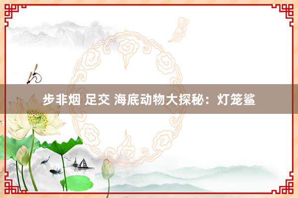 步非烟 足交 海底动物大探秘:灯笼鲨