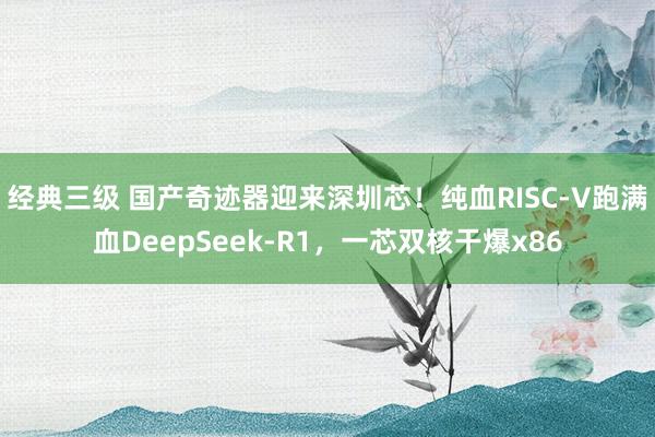 经典三级 国产奇迹器迎来深圳芯!纯血RISC-V跑满血DeepSeek-R1,一芯双核干爆x86